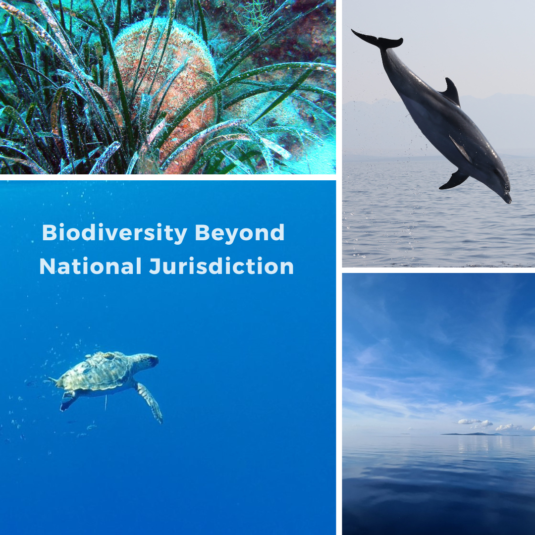 Biodiversity Beyond National Jurisdiction - Interreg Euro-MED : Natural ...