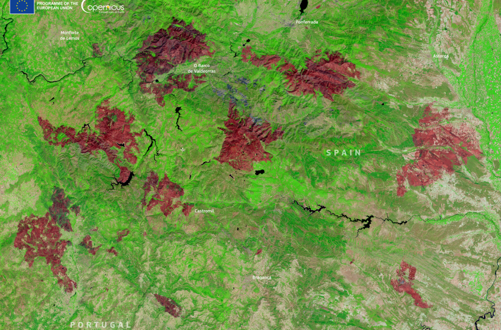 Holistic Wildfire Management in a Warming Mediterranean: Challenges and Pathways Forward by Dr. Panteleimon Xofis, Associate Professor, Democritus University of Thrace