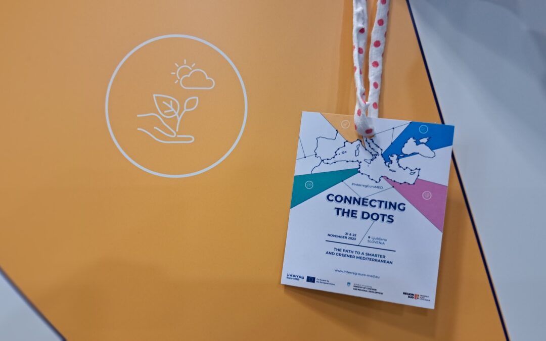 Connecting the Dots for a Smarter and Greener Mediterranean