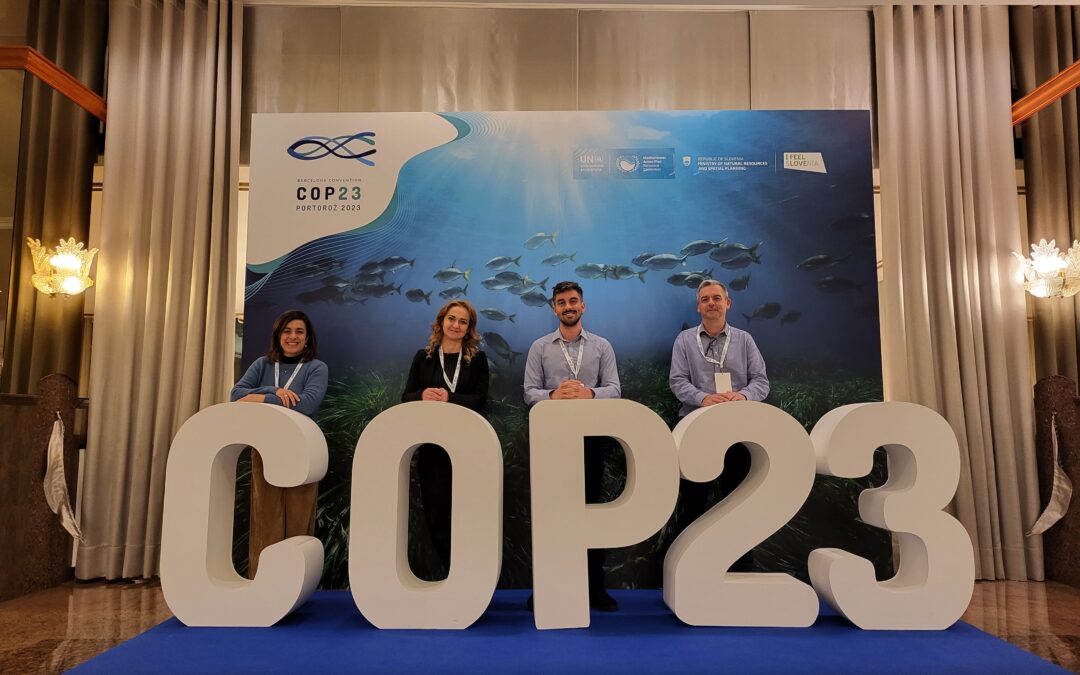 COP23: Green transition in the Mediterranean – from decisions to action