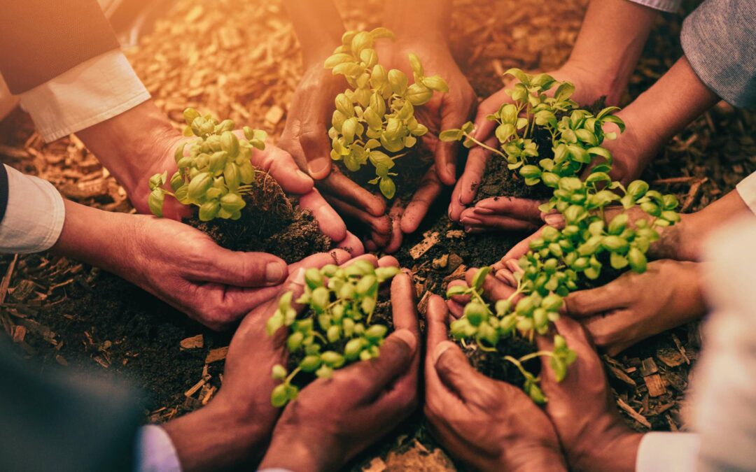 Integrating Biodiversity and Governance: Building A Mission for Sustainable Development