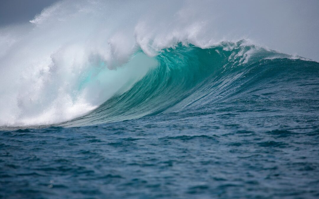 The High Seas Treaty: after 20 years finally ratified by 60 countries