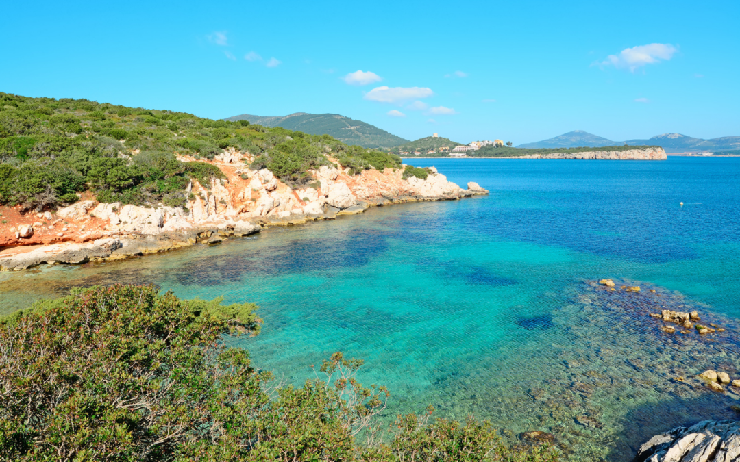 The Natural Heritage Mission Launches 2026 Thematic Discussions on Water Challenges and Opportunities in the Mediterranean