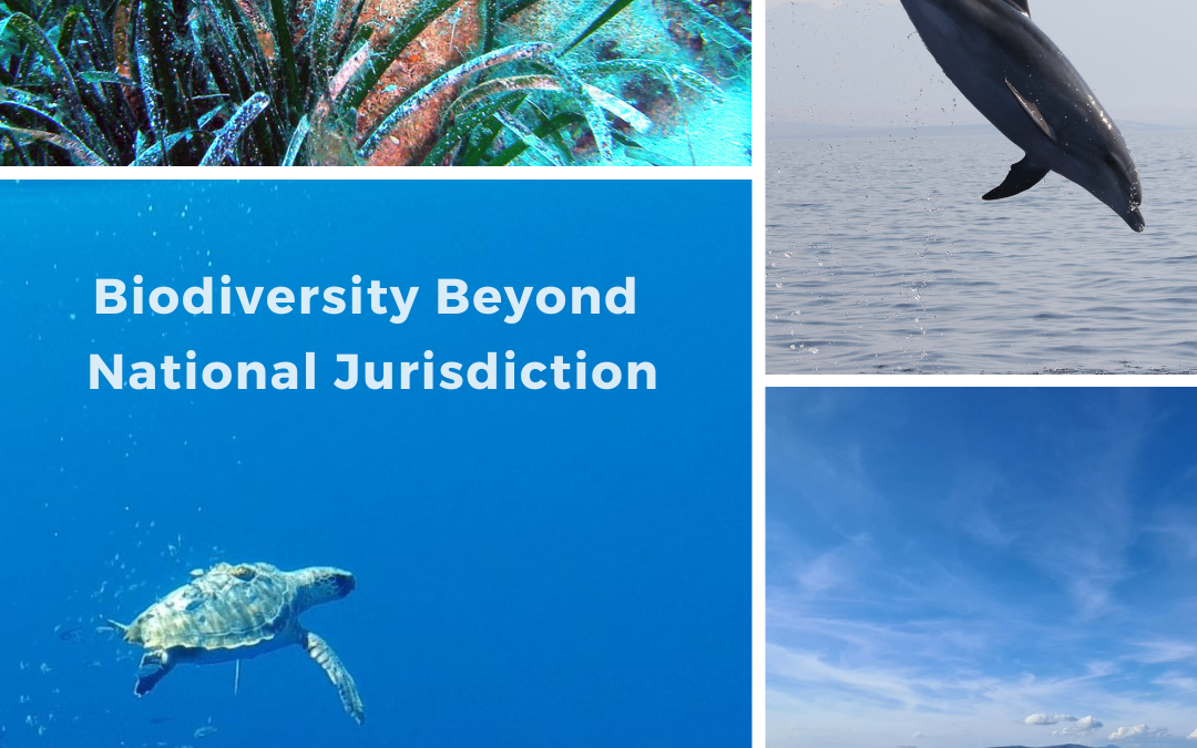 Biodiversity Beyond National Jurisdiction