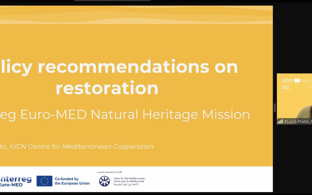 IUCN Med Represents Natural Heritage Mission at the 9th UfM Working Group on Environment